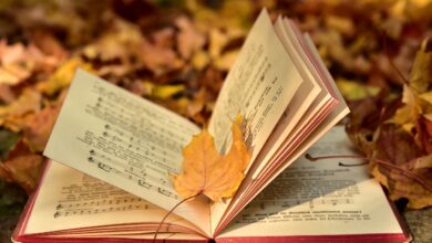 Top 15 Melhores Livros de Suspense de 2025 (Lista Atualizada) 65 Top 10 Melhores Livros de Suspense de 2024 Lista Atualizada