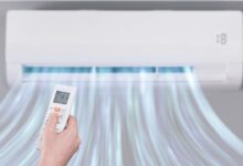 rodeo 2024 02 12T224500.462