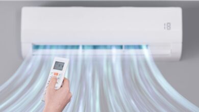 rodeo 2024 02 12T224500.462