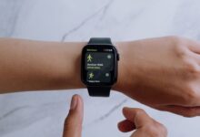 rodeo 2024 02 12T231042.117