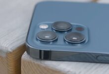 rodeo 2024 02 12T232548.954