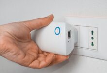 rodeo 2024 02 13T161248.996