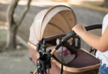 rodeo 2024 02 13T161741.584