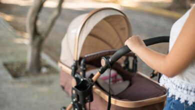 rodeo 2024 02 13T161741.584