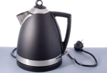 rodeo 2024 02 13T162936.075