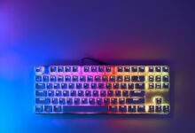 rodeo 2024 02 13T194507.506