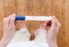 rodeo 2024 02 13T194943.235