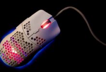 rodeo 2024 02 13T204715.528