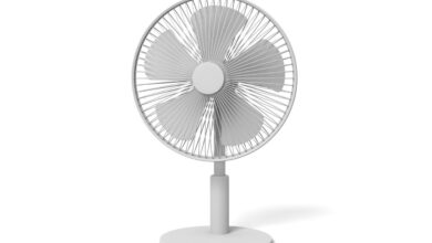 rodeo 2024 02 13T230441.832