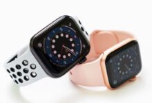 rodeo 2024 02 13T232356.052