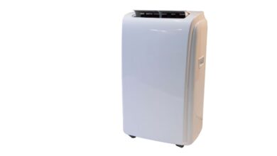 rodeo 2024 02 14T001639.170