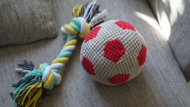 Top 10 Melhores Brinquedo Para Cao Pequeno para comprar em 2024