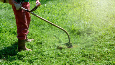 Top 10 Melhores Rocadeira para comprar em 2024