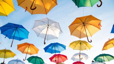 Top 10 Melhores Guarda Chuva para comprar em 2025 86 Melhores Guarda Chuva
