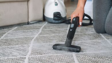 Melhores Limpador a Vapor