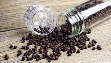 Melhores Moedor de Pimenta