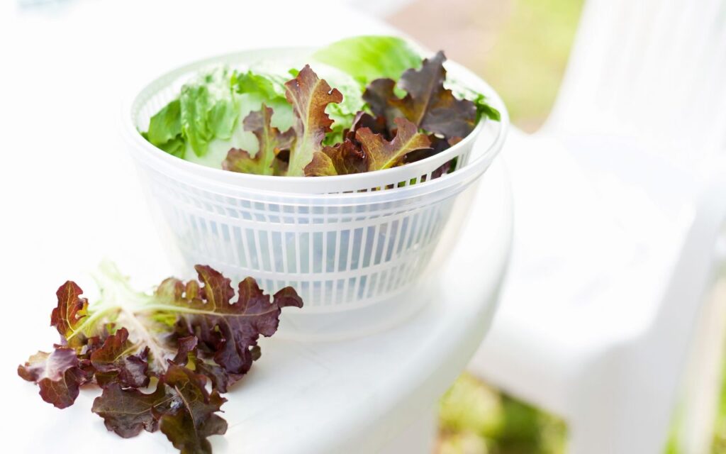 Top 10 Melhores Secador de Salada para comprar em 2024 1 Melhores Secador de Salada
