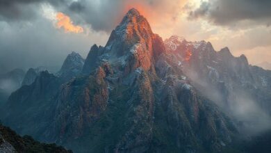 melhores bercos top melhor guia de compra 692a7c0c9069c